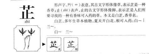 芷筠意思|「筠芷」取名的含义